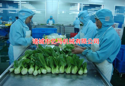 芸豆清洗机|自动芸豆清洗设备|芸豆清洗机供应厂家_食品加工机械_果蔬机械_蔬菜清洗机_产品库